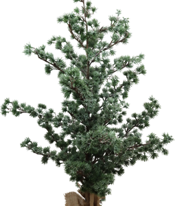 4960 TREE NORDIC CHARM